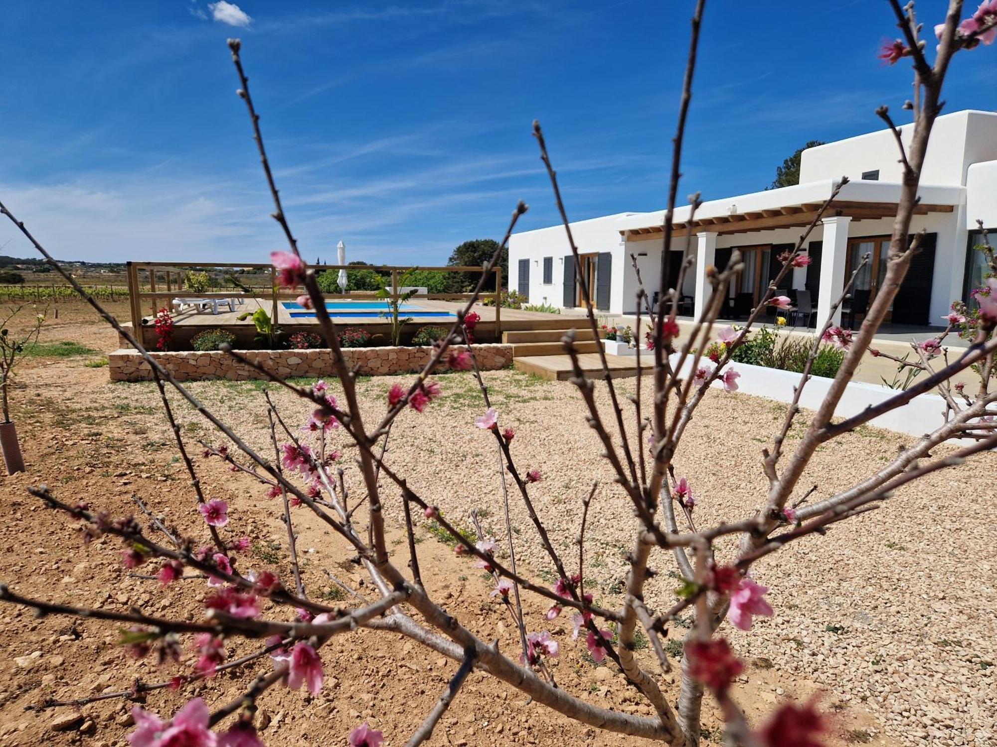 Ses Vinas De Cas Baixero Villa ลามอลา ภายนอก รูปภาพ